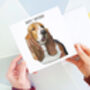 Basset Hound Birthday Card, thumbnail 2 of 2