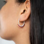 Garnet Gemstone Sterling Silver Hoop Earrings, thumbnail 1 of 9