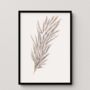 Pampas Grass A3 Art Print, thumbnail 1 of 4