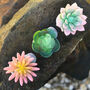 Faux Succulent In Handmade Ammonite Shell Pots, thumbnail 6 of 9