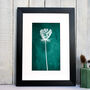 Queen Anne's Lace Winter Seed Head Print, thumbnail 2 of 8