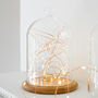 Glass Bell Jar With Copper Micro Fairy Lights, thumbnail 3 of 5