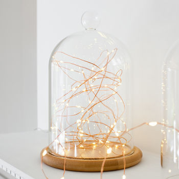Glass Bell Jar With Copper Micro Fairy Lights, 3 of 5