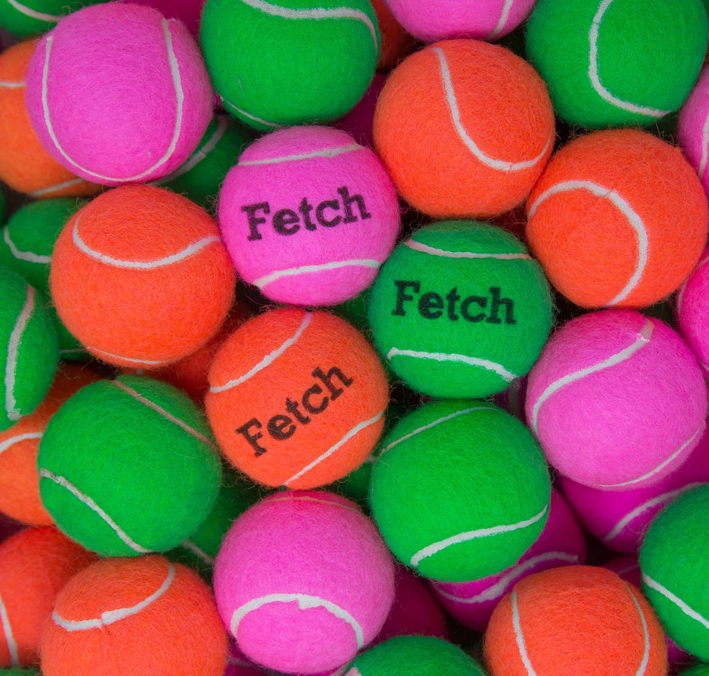 Fetch Dog Balls By Price of Bath | notonthehighstreet.com