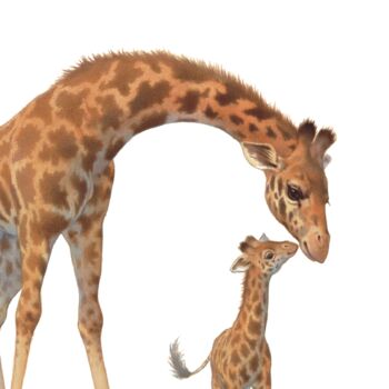 Illustrated Children's Wall Art Print Giraffe And Calf, 2 of 4