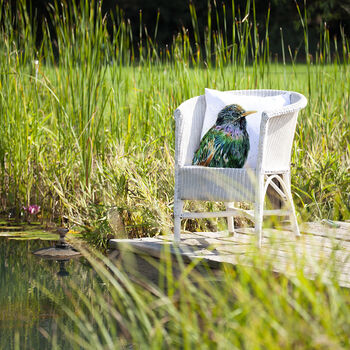 Inky Starling Water Resistant Outdoor Garden Cushion, 7 of 8