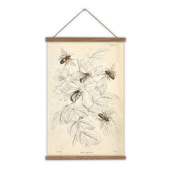 Gift For Bee Lovers Vintage Giclée Print, 3 of 5