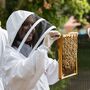 Hiver's London Beekeeping And Beer Experience For Two, thumbnail 1 of 8