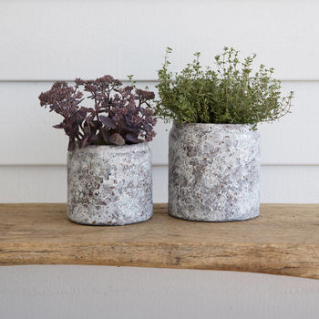 Ceramic Textured Plant Pot By all things Brighton beautiful ...