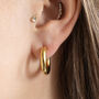 Polished Chunky Hoop Earrings, thumbnail 1 of 6
