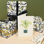 Verdant Eco Friendly Recycled Wrapping Paper Pack, thumbnail 3 of 10