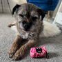 Raspberry Pink Swirl Pattern Dog Poo Bag Dispenser, thumbnail 1 of 6