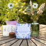 Grow Your Own Dried Flower Bouquet And Vase Gift Set, thumbnail 1 of 12