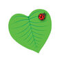 'Be My Love Bug' Valentine's Day Card, thumbnail 4 of 5