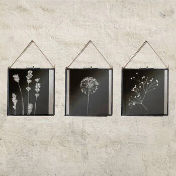 Set Of Seven Monochrome Dried Flower Art Prints, 9 of 12
