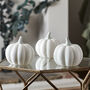 Set Of Three Ceramic Pumpkins, thumbnail 2 of 3