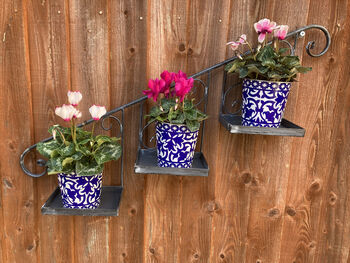 Grey Metal Wall Mounted Planter Stand Vintage Style, 9 of 11