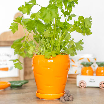 Orange Carrot Shaped Planter With Parsley Seed Balls, 2 of 4
