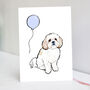 Shih Tzu Birthday Card, thumbnail 1 of 9