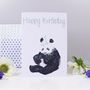 'Happy Birthday' Panda Card, thumbnail 2 of 2