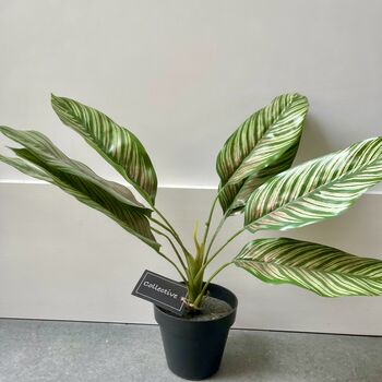 Artificial Potted Leafy Plant, 3 of 5