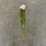 Artificial White Tulip Stem, thumbnail 4 of 6