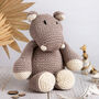 Sophia The Hippo Easy Cotton Knitting Kit, thumbnail 1 of 8