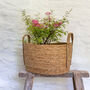 Seagrass Plant Or Storage Baskets With Handles Oval, thumbnail 2 of 6