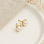 9ct Gold June Birthstone Stud Earrings – 4mm, thumbnail 1 of 3