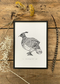 H Is For Himalayan Monal Illustration Print, 3 of 5