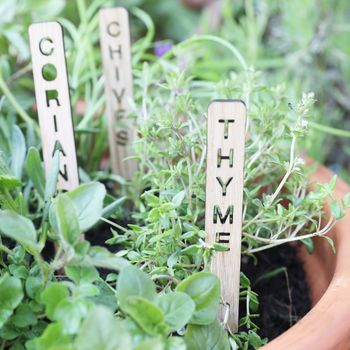 Set Of Seven Personalised Wooden Herb Garden Markers, 4 of 4