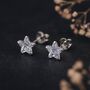 Sterling Silver Small Cubic Zirconia Star Stud Earrings, thumbnail 1 of 7