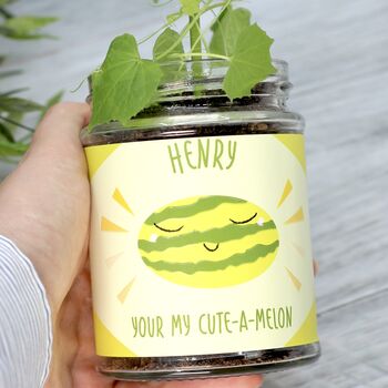 Personalised Mini Melon Jar Grow Kit, 2 of 9