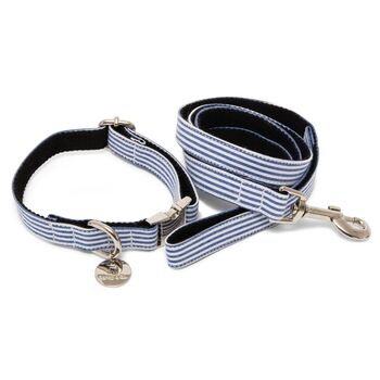 Chichester Blue And White Striped Collar And Lead Set, 2 of 11