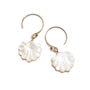 Seashell Earrings In Mother Of Pearl, thumbnail 5 of 5