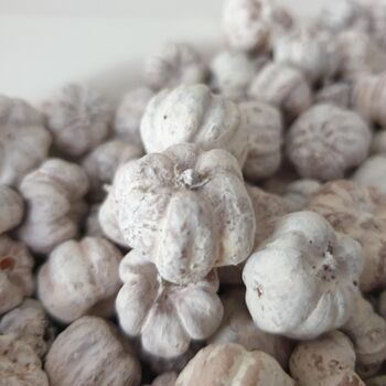 White Dried Baby Pumpkins For Autumn Home Decoration, 2 of 4