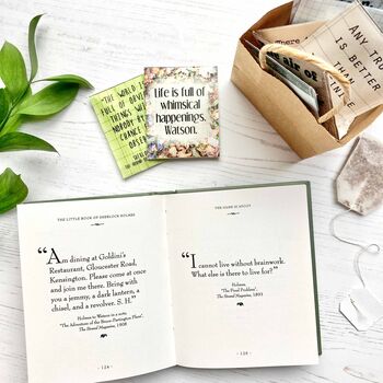 Sherlock Holmes Tea And Book Gift Set | Literary Classics, 2 of 12