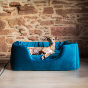 Charley Chau Deep Sided Dog Bed In Velour, 2 of 10