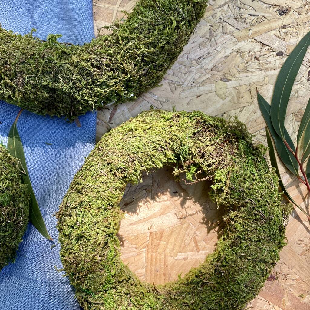 Moss Wreath Set Of Three By The Florist's Daughter