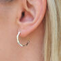 Gold Plated Or Sterling Silver Bamboo Hoop Earrings, thumbnail 1 of 6