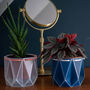 Origami Self Watering Eco Plant Pot: 10cm | Coral Cord, thumbnail 2 of 6