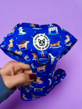 Skateboarding Dogs Harness Lead Collar Waste Bad Set Bundle, 7 of 11