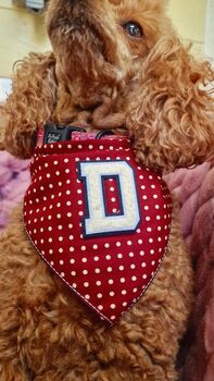 Personalised Polka Dot Dog Tie On Bandana Red Or Green, 9 of 12