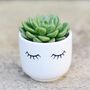 Eye Shut Planter With A Succulent, thumbnail 4 of 4