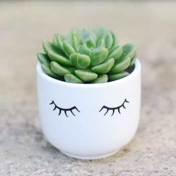Eye Shut Planter With A Succulent, 4 of 4