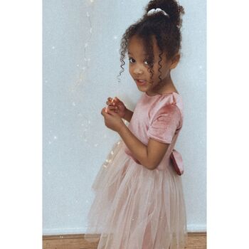 Pink Velvet Soft Tulle Dress, 5 of 10