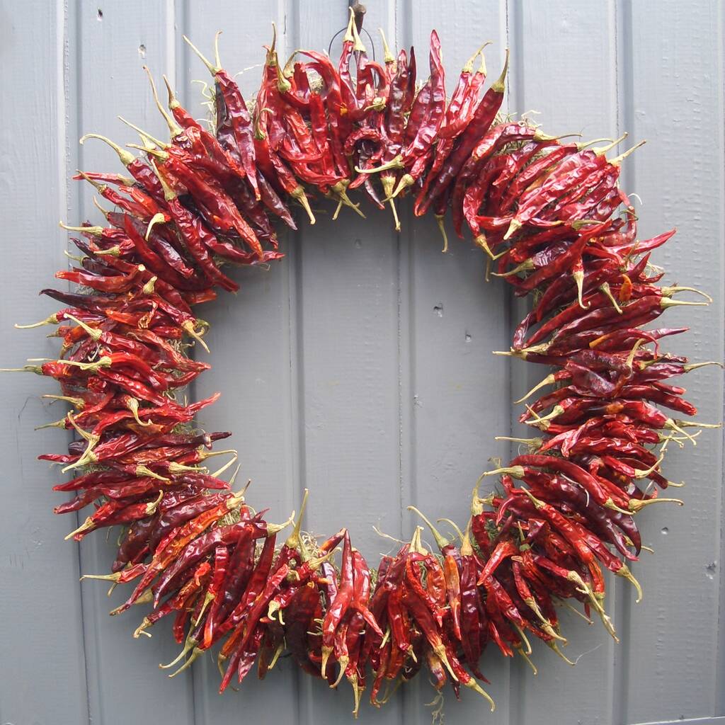 Chilli Hanging Decoration For Wall Or Door By Pippa Designs ...