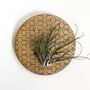 Small Round Engraved Wall Planter For Air Plants, thumbnail 1 of 4