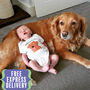 Best Friend Forever Personalised Dog Babygrow, thumbnail 1 of 12