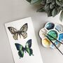 Butterfly Collection Greetings Card, thumbnail 3 of 3